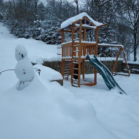 Ecolodge Novoselitsa  エクステリア 写真