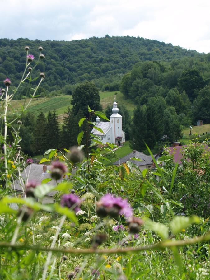 Ecolodge Novoselitsa  エクステリア 写真