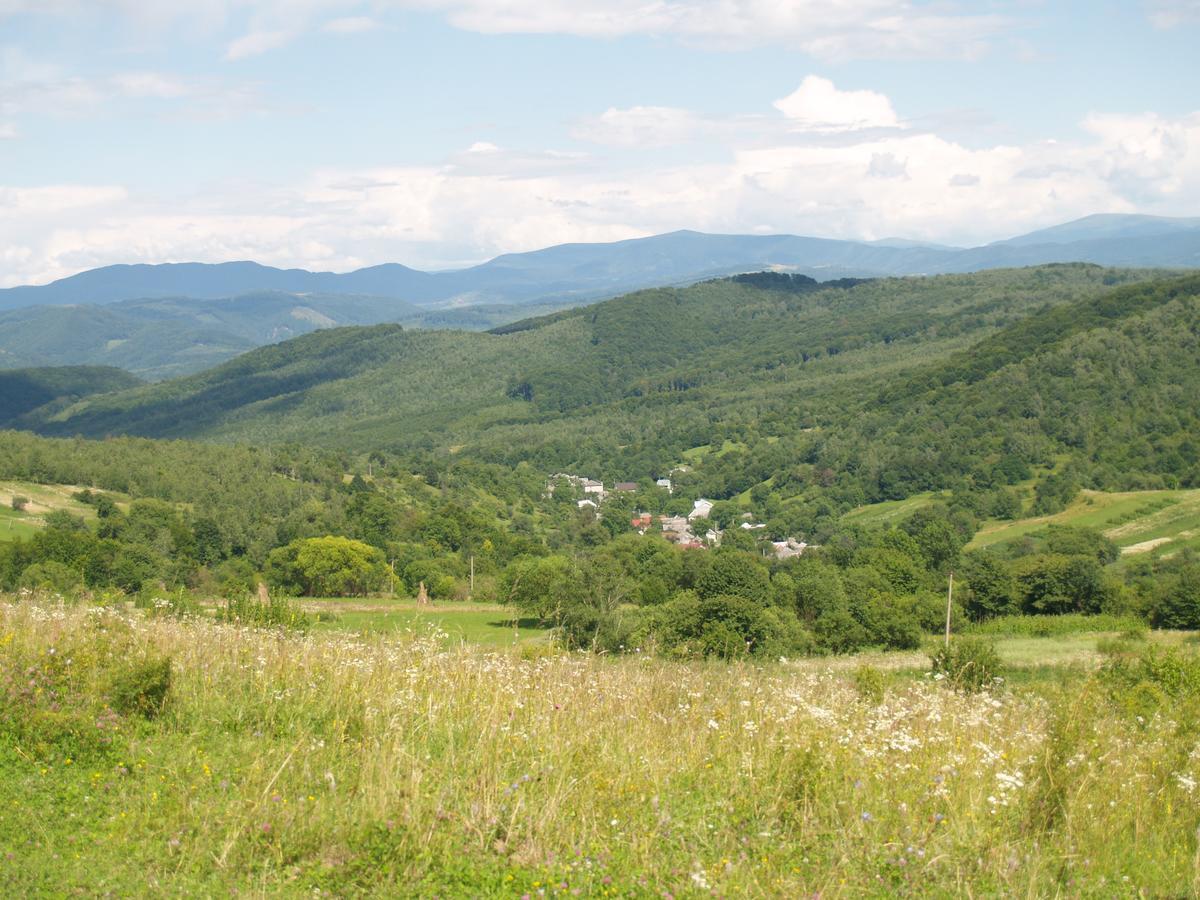 Ecolodge Novoselitsa  エクステリア 写真