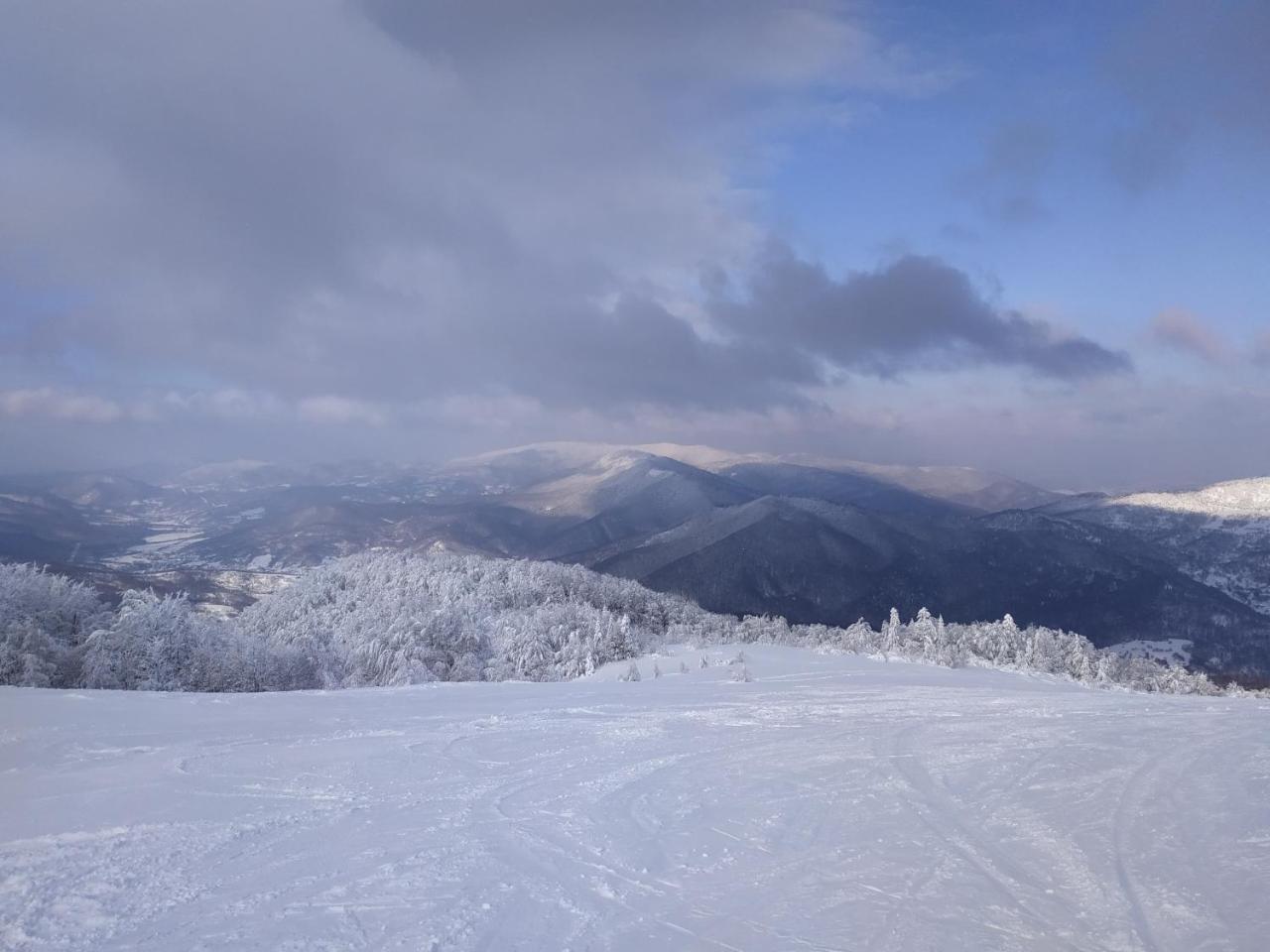 Ecolodge Novoselitsa  エクステリア 写真