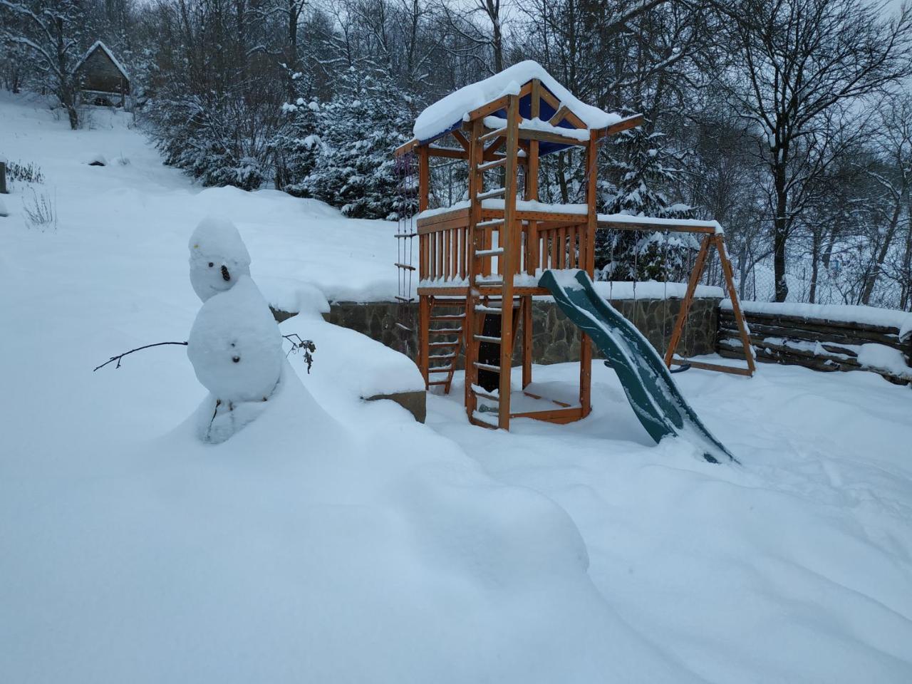 Ecolodge Novoselitsa  エクステリア 写真